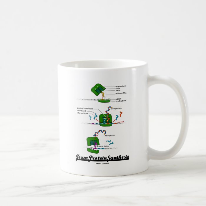 Team Protein Synthesis Coffee Mug
