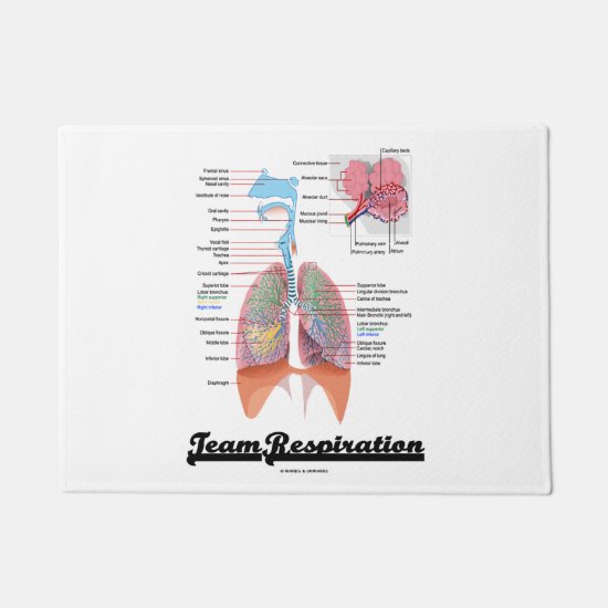 Team Respiration Respiratory System Anatomy Humor Doormat