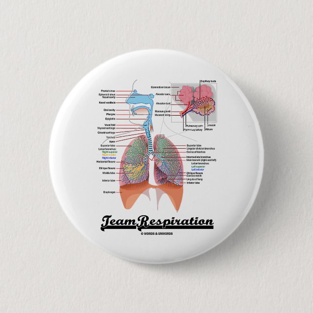Team Respiration (Respiratory System) Button (Front)