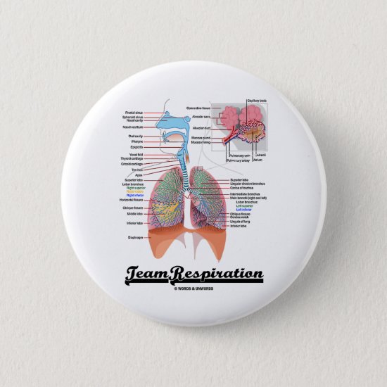 Team Respiration (Respiratory System) Button