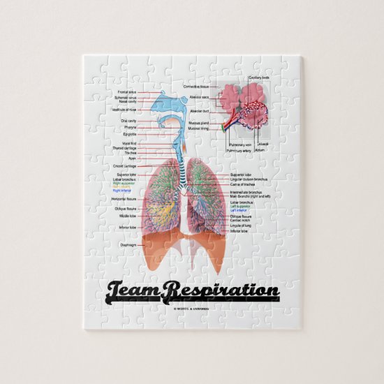 Team Respiration (Respiratory System) Jigsaw Puzzle