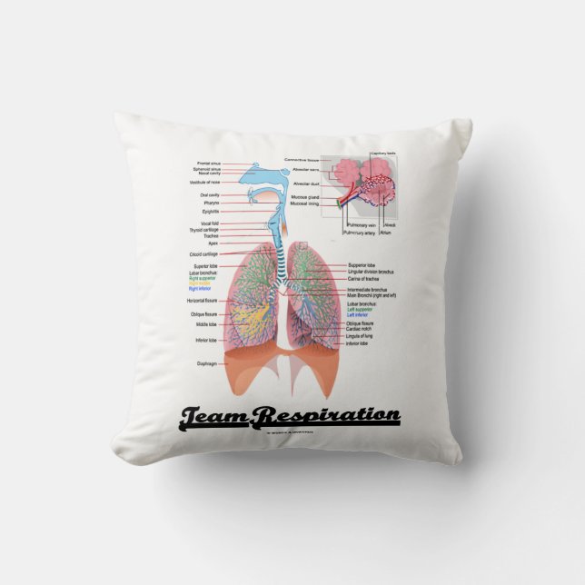Team Respiration (Respiratory System) Throw Pillow (Front)