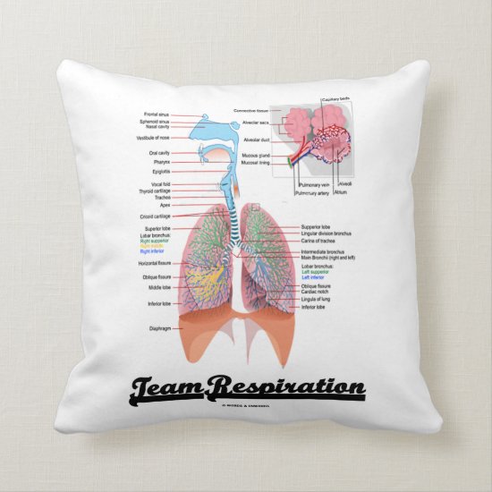 Team Respiration (Respiratory System) Throw Pillow