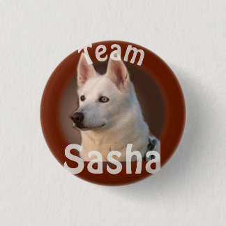 Team Sasha Button