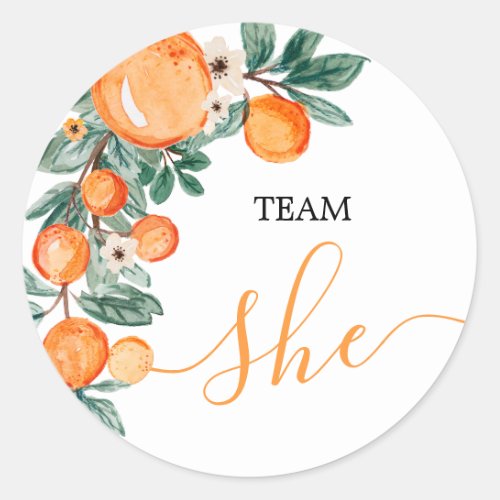 TEAM She Gender Reveal Citrus Orange Game Labels