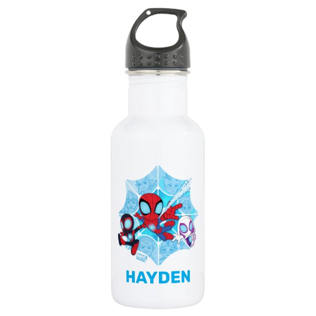 Team Spidey Over Web of Villains Stainless Steel Water Bottle (Front)
