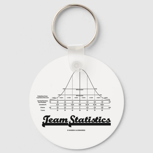Team Statistics (Normal Distribution Curve Stats) Keychain (Front)