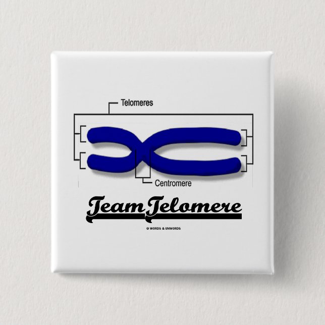 Team Telomere (Biology Humor) Button (Front)