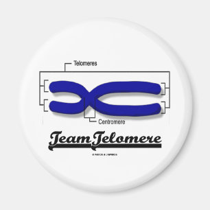 Team Telomere (Biology Humor) Magnet