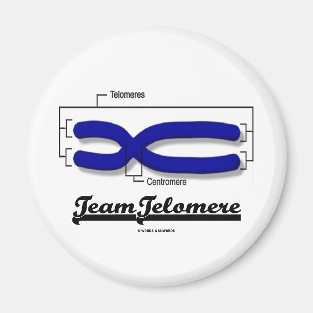 Team Telomere (Biology Humor) Magnet (Front)