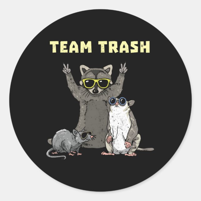 Team Trash Opossum Raccoon Rat Animals Garbage Gan Classic Round Sticker (Front)