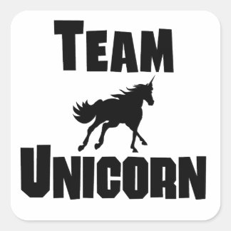 team_unicorn_square_sticker-r6042a2494dfb4b079b893a7b764fa2e0_v9wf3_8byvr_324.jpg