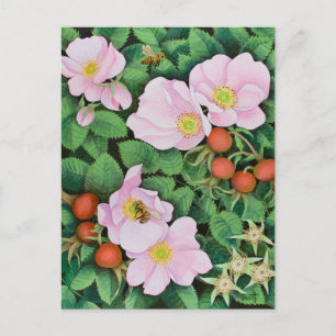 Team Work 2011 Postcard