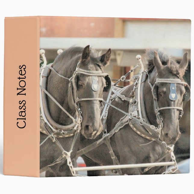 Team Work 3 Ring Binder (Front/Spine)