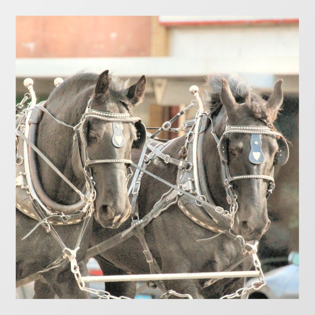 Team Work Floor Decals (Front)