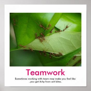 Teamwork Demotivational Poster by sallybeam at Zazzle