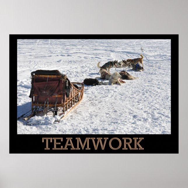 Teamwork Dog Sled Poster (Front)