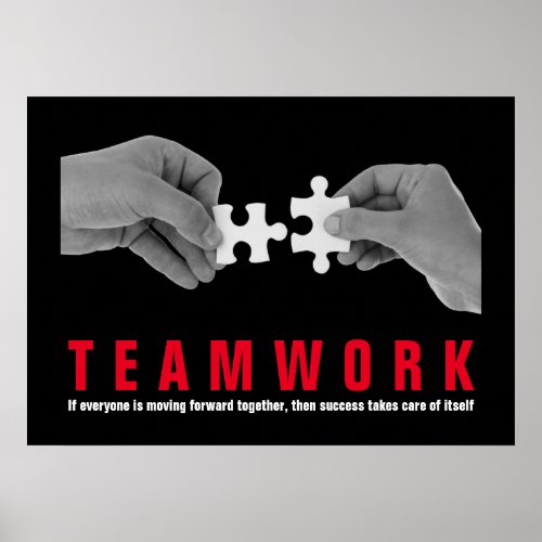 Teamwork Inspirational Quote Motivational Poster