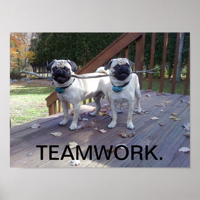 Teamwork Poster! Pugs working together! Poster (Front)