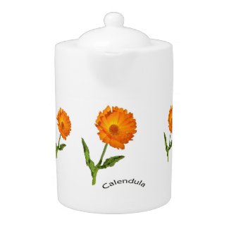 Teapot - Calendula