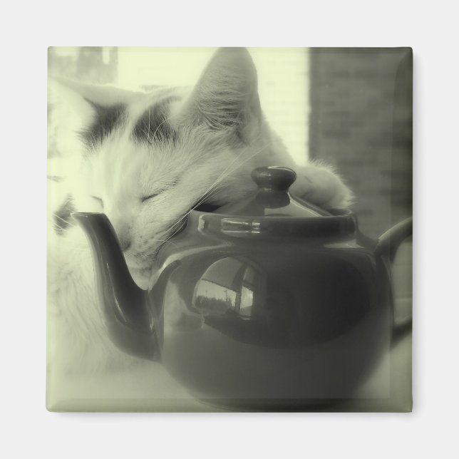 Teapot Pillow Magnet (Front)
