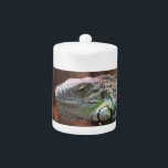 Teapot with colourful Iguana lizard<br><div class="desc">Awesome Teapot with beautiful and peaceful Iguana Lizard sitting on a tree.  This product its customizable.</div>