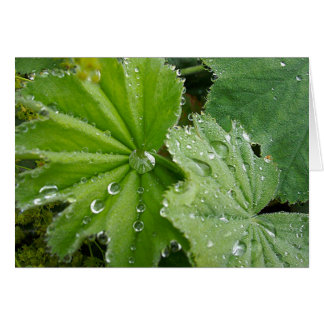 Tear of Nature Cards