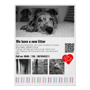 Tear Off Great Dane Puppy Poster