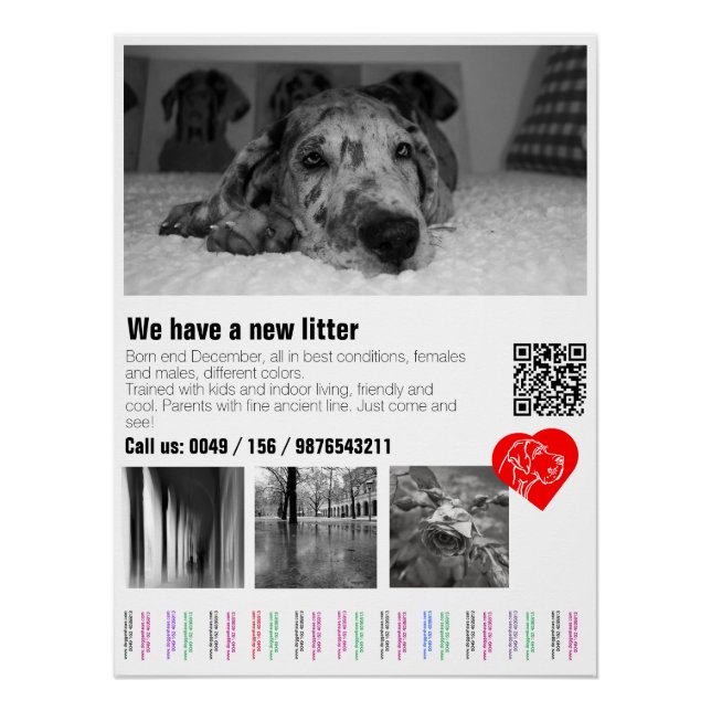 Tear Off Great Dane Puppy Poster (Front)