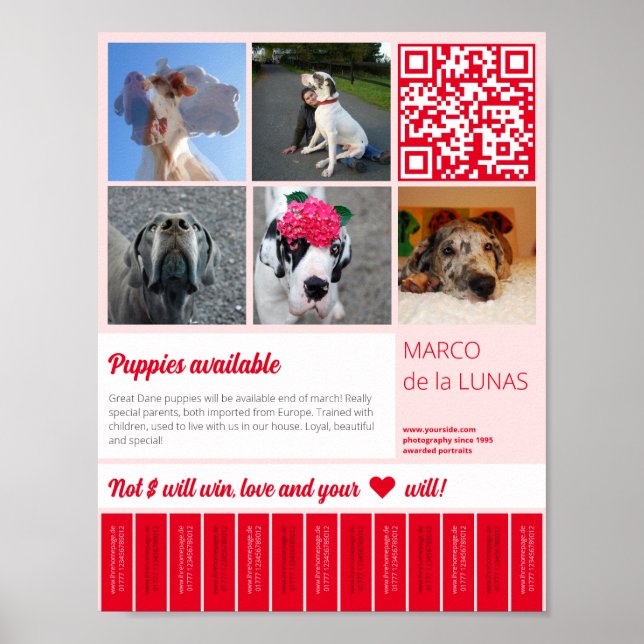 Tear off printable puppies for sale flyer template poster (Front)