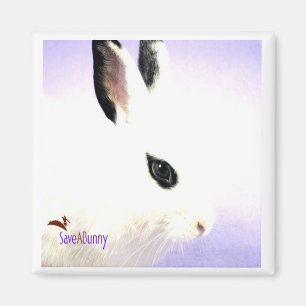 Teardrop Bunny Magnet