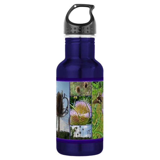 Teasel Thistle - Dipsacus fullonum Stainless Steel Water Bottle (Front)