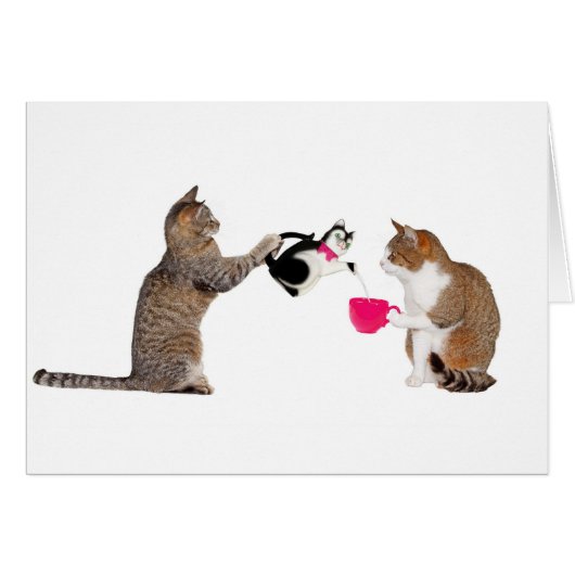Teatime for kitty cats cards (Front Horizontal)