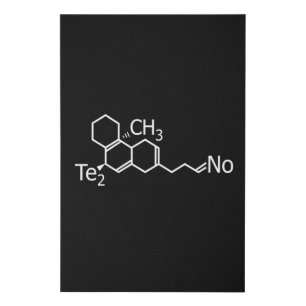 Techno Music DJ Rave Electro Festival Gift Idea Faux Canvas Print