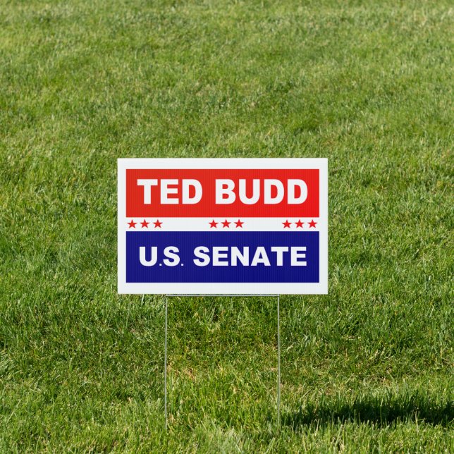 Ted Budd Sign (Insitu)