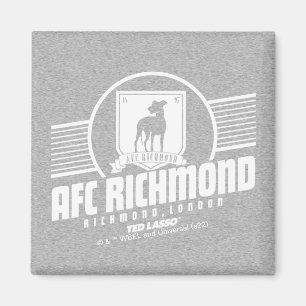 Ted Lasso AFC Richmond Athletic Stripe Graphic Magnet