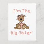 Teddy Bear Big Sister Tshirts and Gifts Postcard