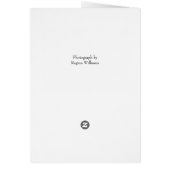 Teddy Bear Blank Card (Back)