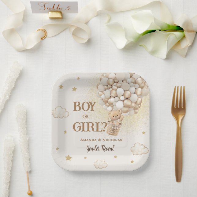 Teddy Bear Boho Air balloon Gender Reveal Paper Plates (Wedding)