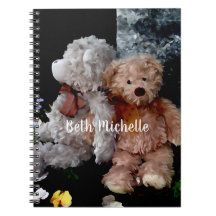 Teddy bear buddies