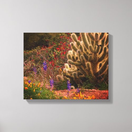 Teddy Bear Cholla Cactus Wildflowers Desert Scene Canvas Print