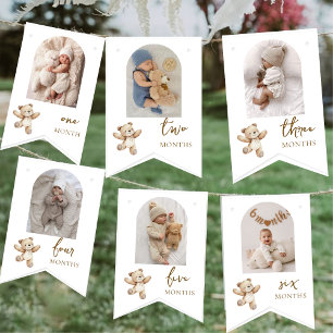 Teddy Bear First Birthday Photo Party  Bunting Flags