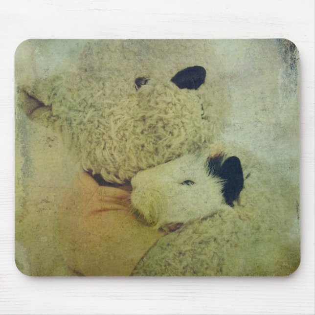 Teddy Bear Hugs A Guinea Pig Mouse Pad (Front)