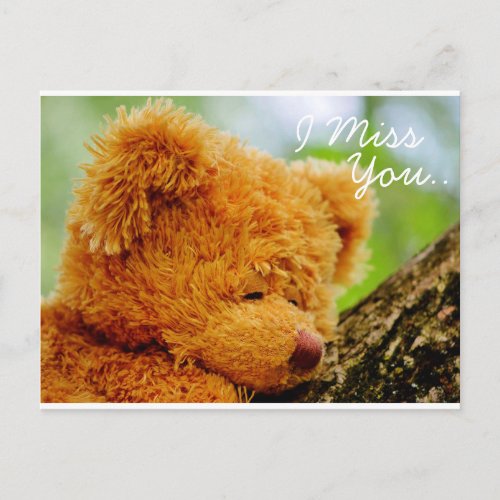 Teddy Bear I Miss You Postcard