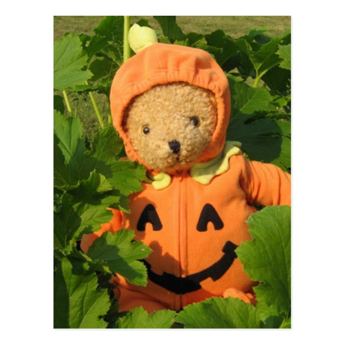 pumpkin teddy bear