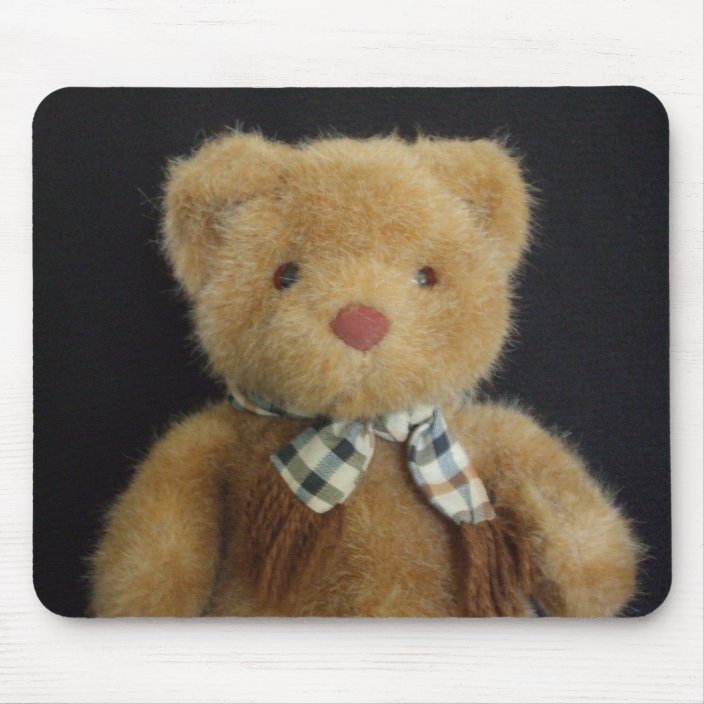 teddy bear mouse