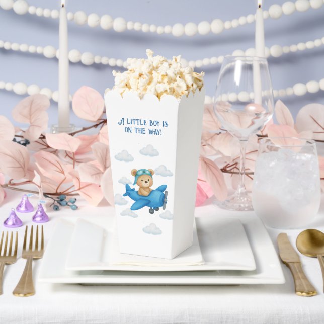 Teddy Bear on Airplane Baby Shower Favor Box  (Wedding)