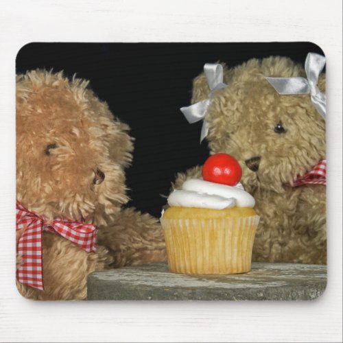 Teddy Bear Party Mouse Pad