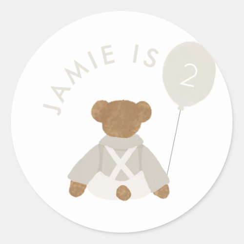 Teddy Bear Picnic Baby Birthday Classic Round Sticker
