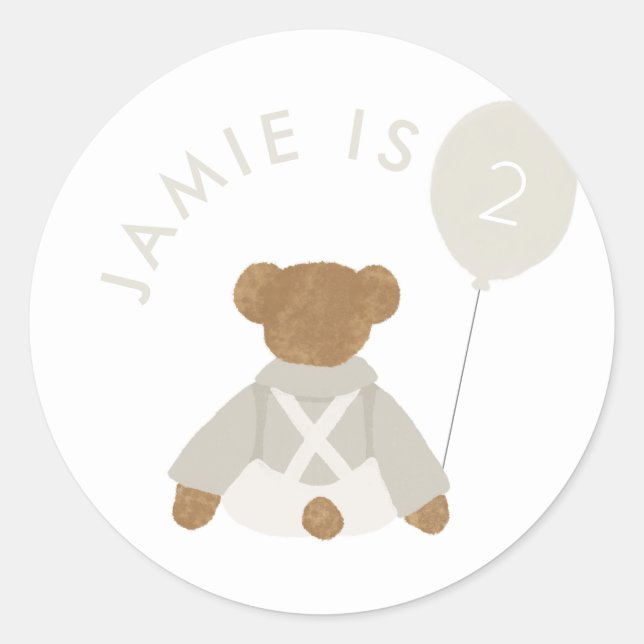 Teddy Bear Picnic Baby Birthday Classic Round Sticker (Front)